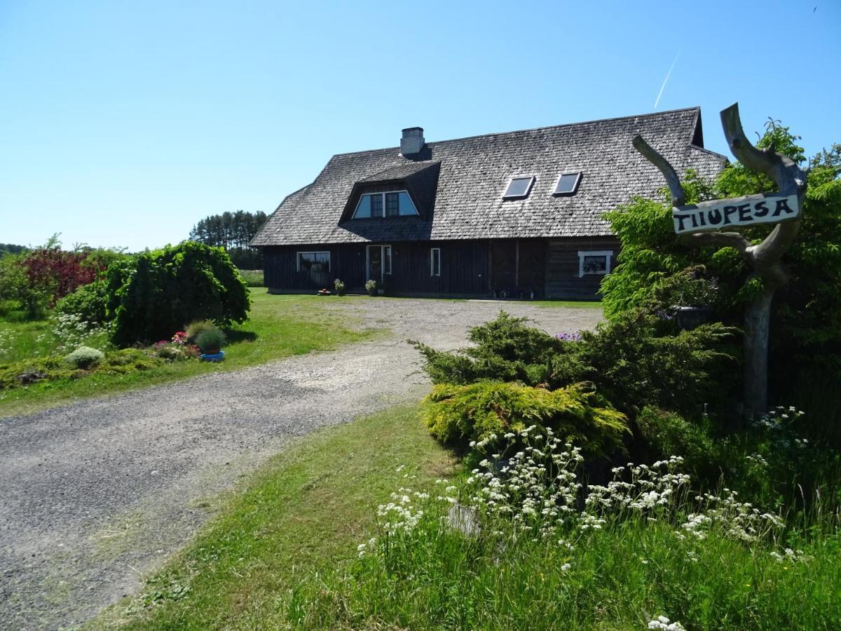 Tiiupesa Guest House Hellamaa  Exteriér fotografie